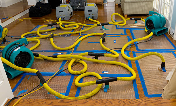 Professional Sewage Cleanup technician working in Hampton, MD